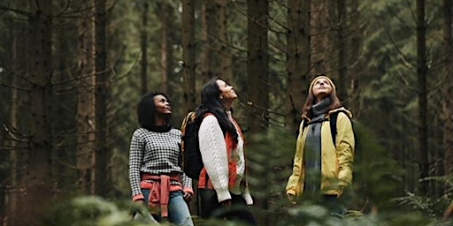 Primaire afbeelding van Group Forest Bathing Walk