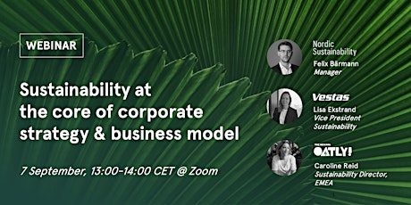 Sustainability at the core of corporate strategy & business model primary image