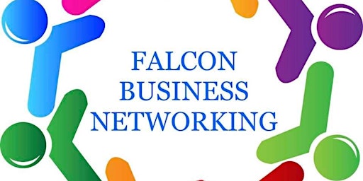 Imagem principal do evento Falcon Business Networking