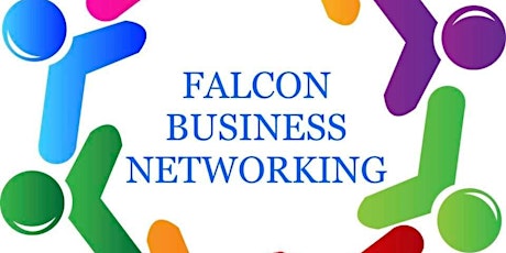 Falcon Business Networking