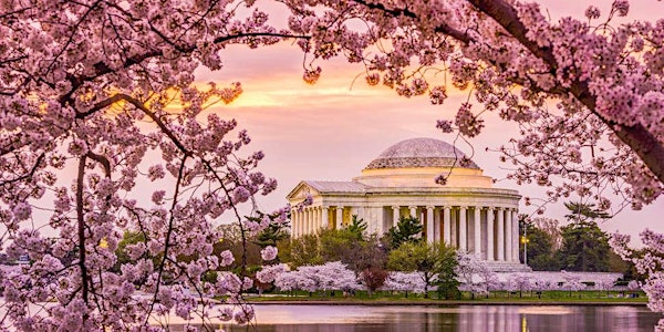 UVA Club of Washington DC: Cavs Care: Promoting Recycling: Cherry Blossom F...