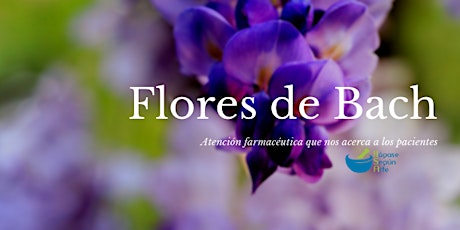 Imagen principal de Flores de Bach, Atención farmacéutica que nos acerca a los pacientes ONLINE