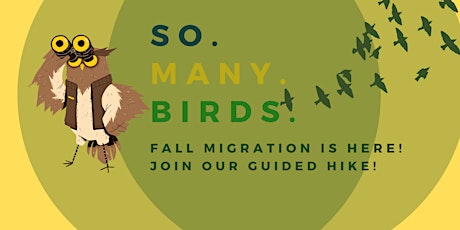 Imagem principal de Fall Migration Bird Walk