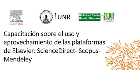 Imagen principal de Mendeley, ScienceDirect y SCOPUS: uso y aprovechamiento de plataformas Elsevier