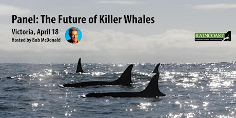 The future of killer whale recovery
