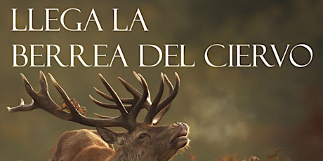 Imagen principal de Berrea del Ciervo en la Sierra de los Filabres. Sábados 23/30 de septiembre