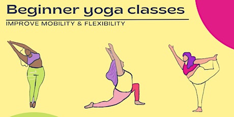 Begginer Yoga Classes