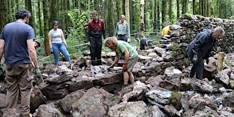 Dry Stonewalling Workshops Merlin Woods Galway (places available Sunday ) primary image