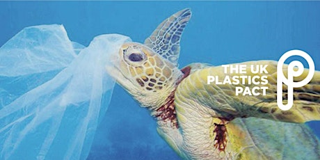 Imagen principal de The UK Plastics Pact CircularChem Workshop