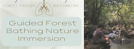 Collection image for Guided Forest Bathing Nature Immersion