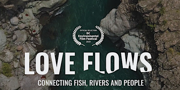 Premiere Love Flows Documentary 