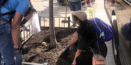 Arbor Day Street Tree Care with Sunnyside Shines BID