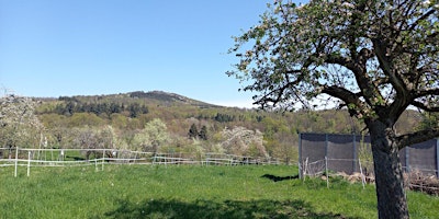 Image principale de Sa, 04.05.24 Wanderdate Berg und Tal rund um Rambach 25-45J
