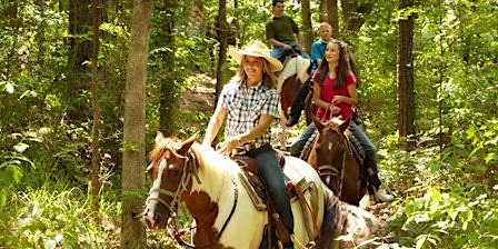 Imagen principal de Singles Horseback Riding in the Park Ages 40's 50's / 60's + Suffolk