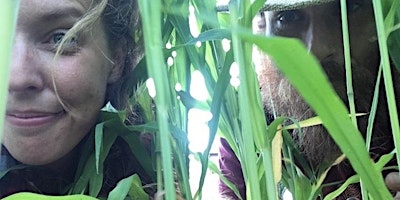 Immagine principale di Foraging Wild Edibles with Crystal and Liam from Wildlife Gardening 