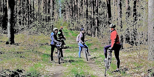 Primaire afbeelding van Camino de Santiago Ciclista