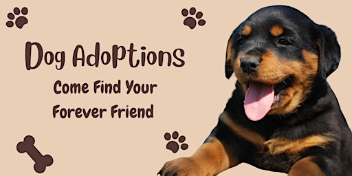 Imagem principal de Dog Adoptions!