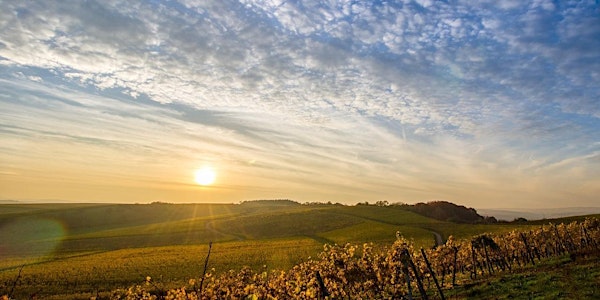 Mother's Day Nature Retreat - Yoga, Mimosa, Hike, Brunch + Wine