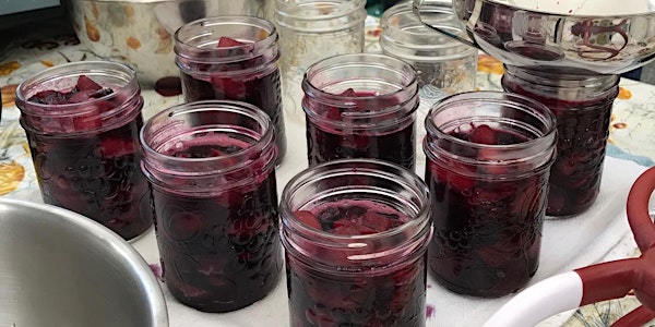Summer Fruit: Simple Jams, Sauces, and Salsas