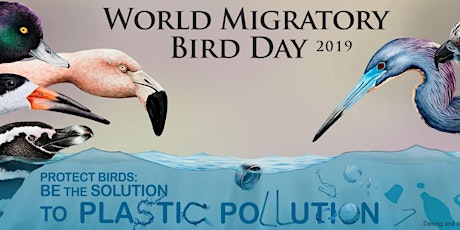 World Migratory Bird Day primary image