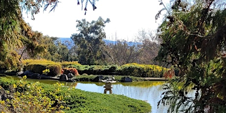 Japanese Garden – Sunday afternoon – October Long Weekend primary image