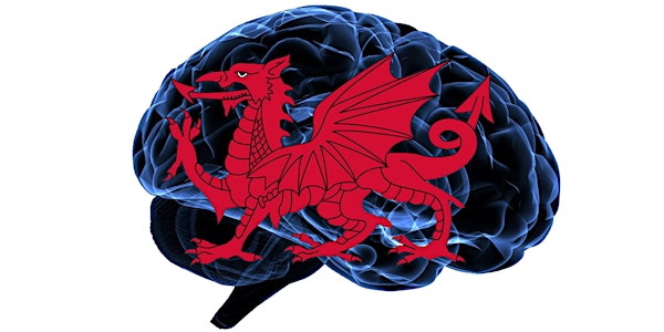 The South West Wales Brain Injury Conference 2019