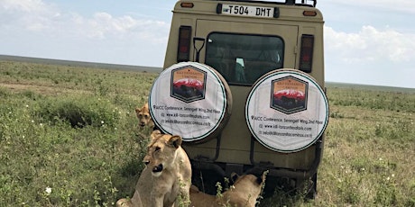 Group safari to Tarangire, and Ngorongoro Crater, group joining travel primary image