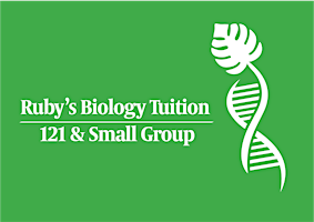 Small Group A2 Level Biology Tuition primary image