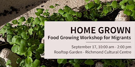Imagen principal de Home Grown: Food Growing Workshop for Migrants