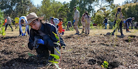 Community Planting Day: Plant a Cooler & Greener Future in Rockingham!