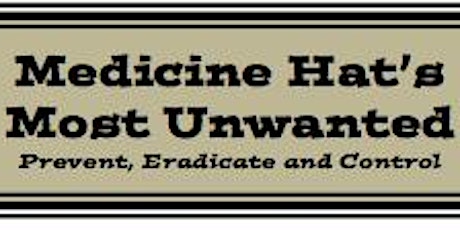 Medicine Hat's Most Unwanted - Invasive Species Workshop primary image