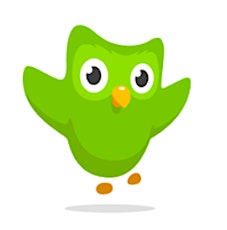 Duolingo Language Picnic primary image