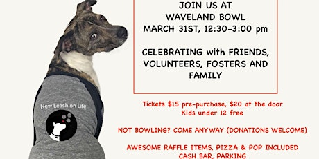 Waveland Bowl Fundraiser primary image
