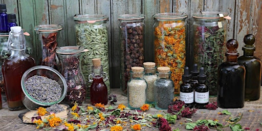 The Midwife's Apothecary: Herbs for Pregnancy, Birth and Postpartum  primärbild