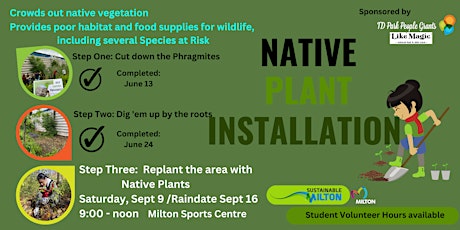 Native Plant Installation primary image