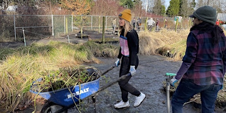 Hauptbild für Volunteer: KCD Native Plant Nursery