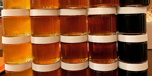 Hauptbild für Bee-licious: Taste Honey Like a Sommelier With Marina Marchese