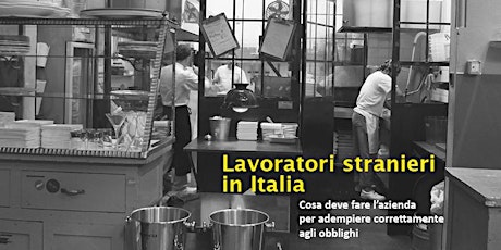 Immagine principale di LAVORATORI STRANIERI IN ITALIA 