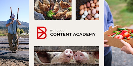 Hauptbild für Barn2Door Academy: Content Writing (June 2024)