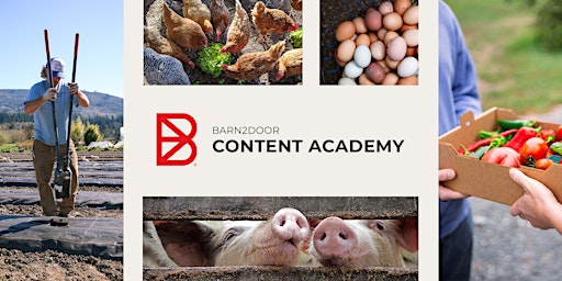 Primaire afbeelding van Barn2Door Academy: Content Writing (April 2024)