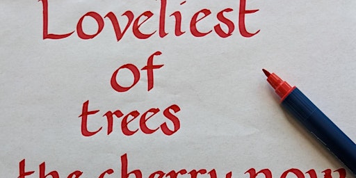 Primaire afbeelding van Calligraphy for Beginners-Ravenshead Library-Adult Learning