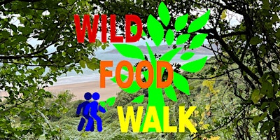 May Coastal (Woolacombe, North Devon) Wild Food Foraging/ Foragers Walk. primary image