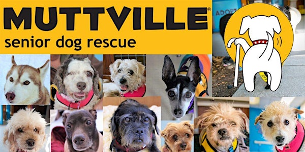 Beyond Yourself – Dog Shelter Volunteer Opportunity @ Muttville