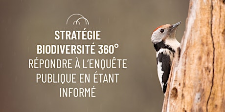 Hauptbild für « Stratégie Biodiversité 360° » : analysons l’enquête publique !