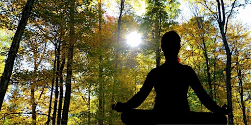 Hauptbild für Max Meditation- Beginners Welcome