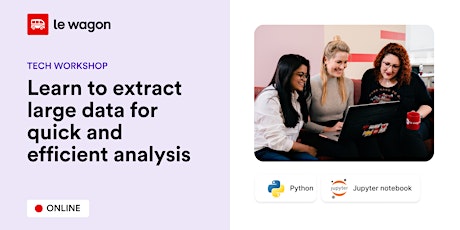 Imagen principal de Online workshop: Learn to extract data for quick and efficient analysis