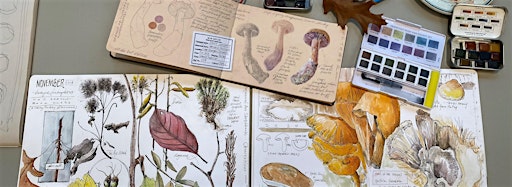 Collection image for Botanical Arts Classes