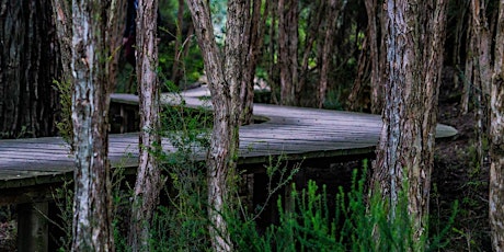 EcoWalk: Unique Preserves of Sarasota County - Manasota Scrub