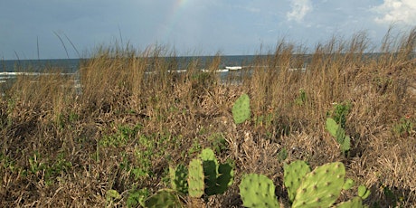 EcoWalk: Unique Preserves of Sarasota County - Shamrock Park