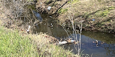 Imagen principal de Grayson Creek Earth Day 2024 cleanup